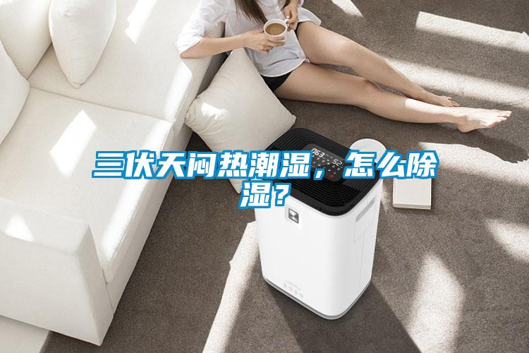 三伏天悶熱潮濕，怎么除濕？