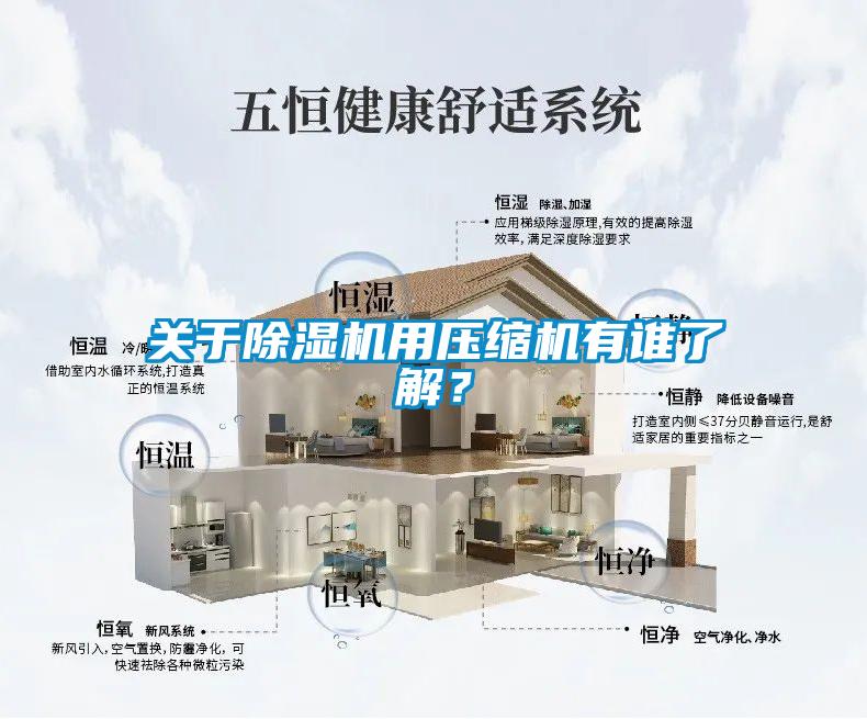 關于除濕機用壓縮機有誰了解？