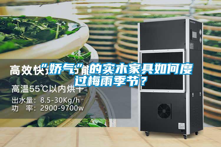 “嬌氣”的實(shí)木家具如何度過(guò)梅雨季節(jié)？