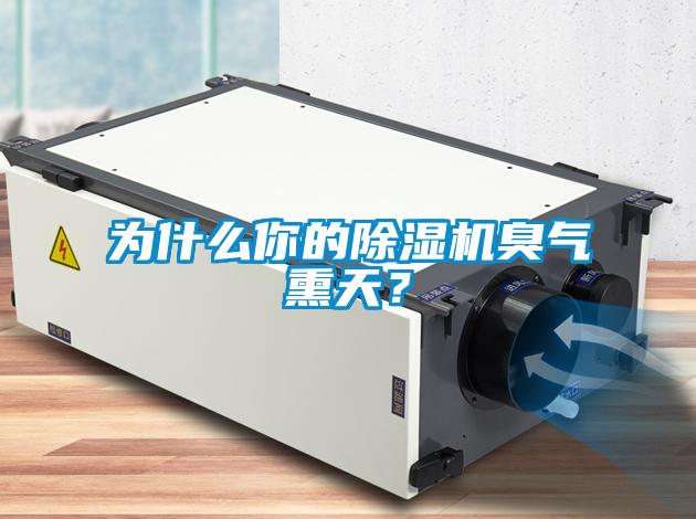 為什么你的除濕機(jī)臭氣熏天？