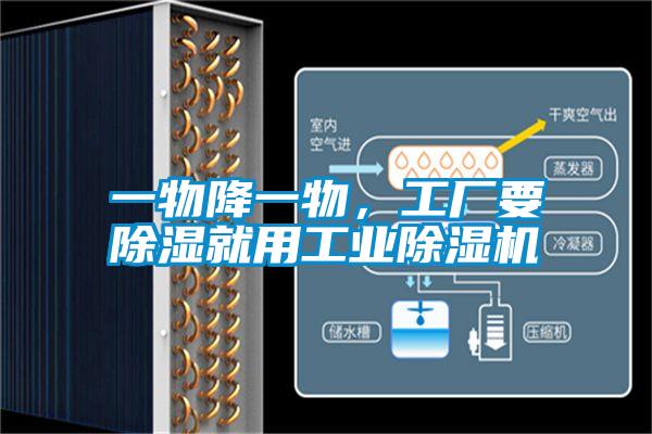 一物降一物，工廠要除濕就用工業除濕機