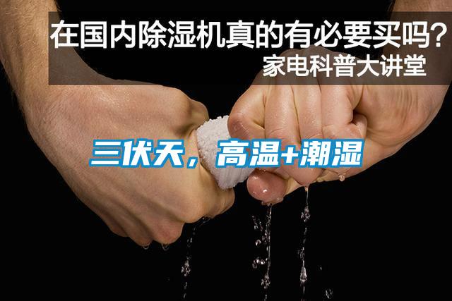 三伏天，高溫+潮濕