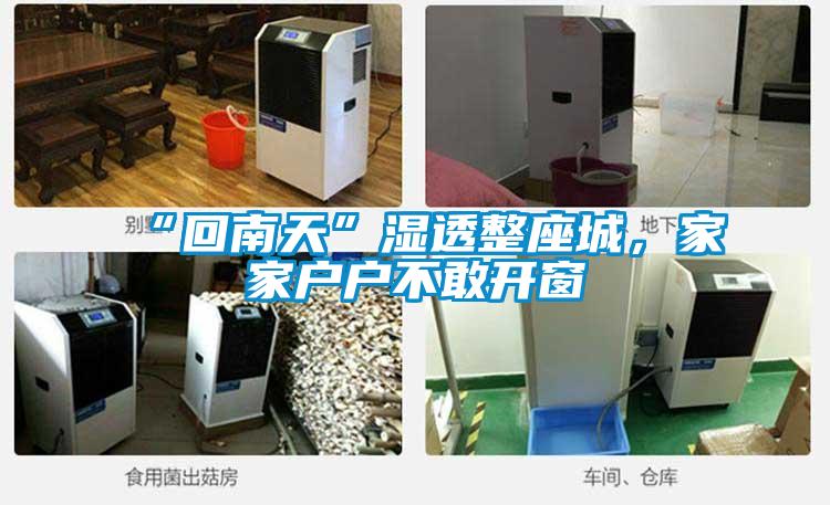 “回南天”濕透整座城，家家戶戶不敢開(kāi)窗