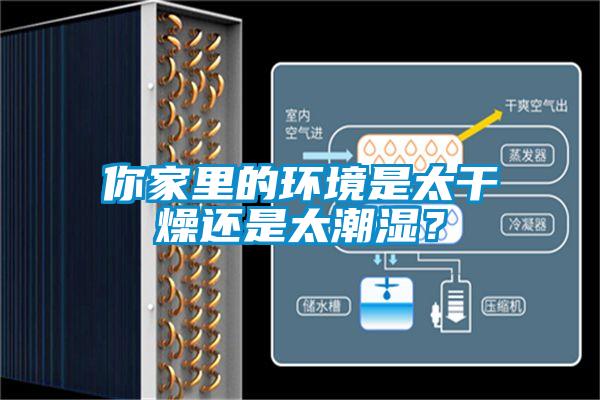 你家里的環境是太干燥還是太潮濕？