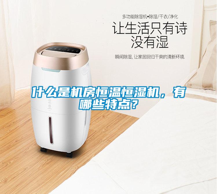 什么是機(jī)房恒溫恒濕機(jī)，有哪些特點？
