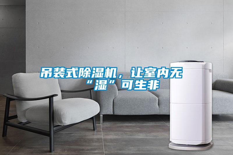 吊裝式除濕機，讓室內無“濕”可生非