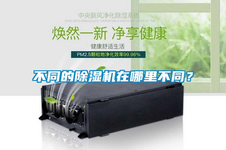 不同的除濕機在哪里不同？