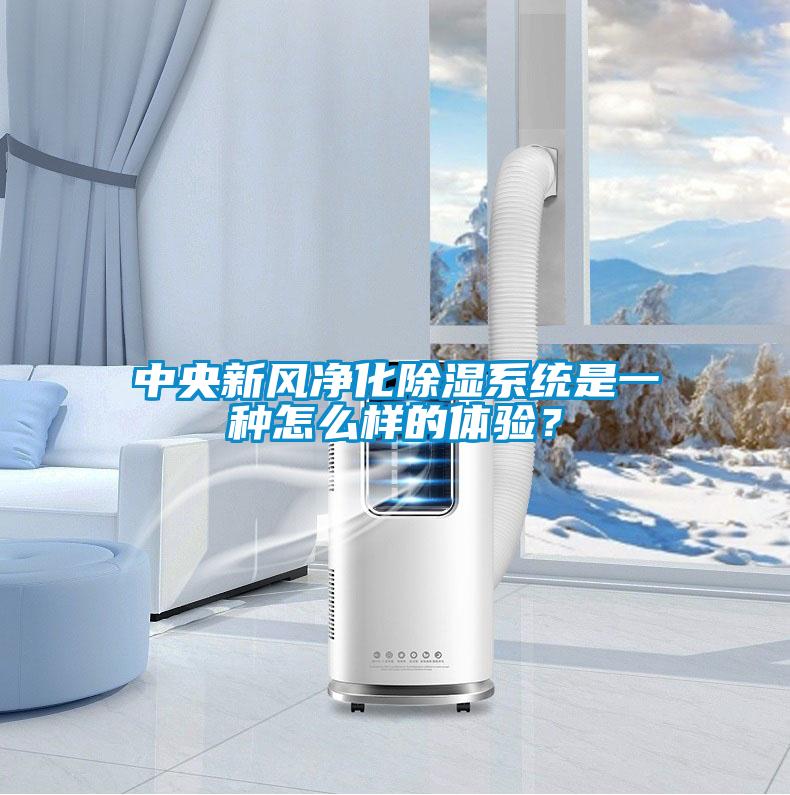 中央新風(fēng)凈化除濕系統(tǒng)是一種怎么樣的體驗(yàn)？