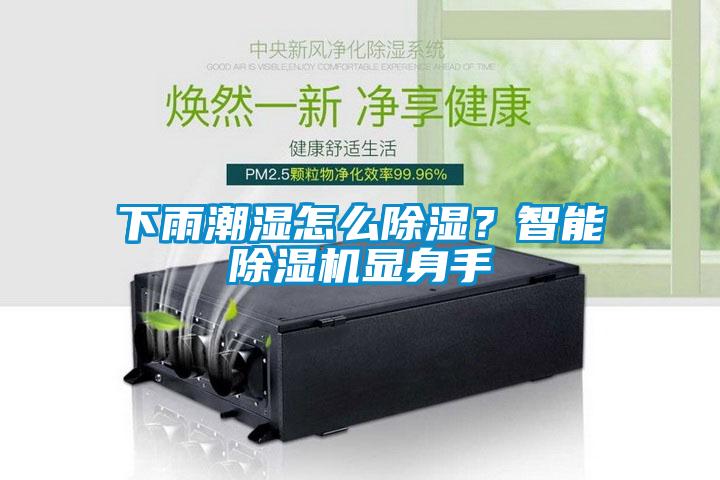 下雨潮濕怎么除濕？智能除濕機顯身手