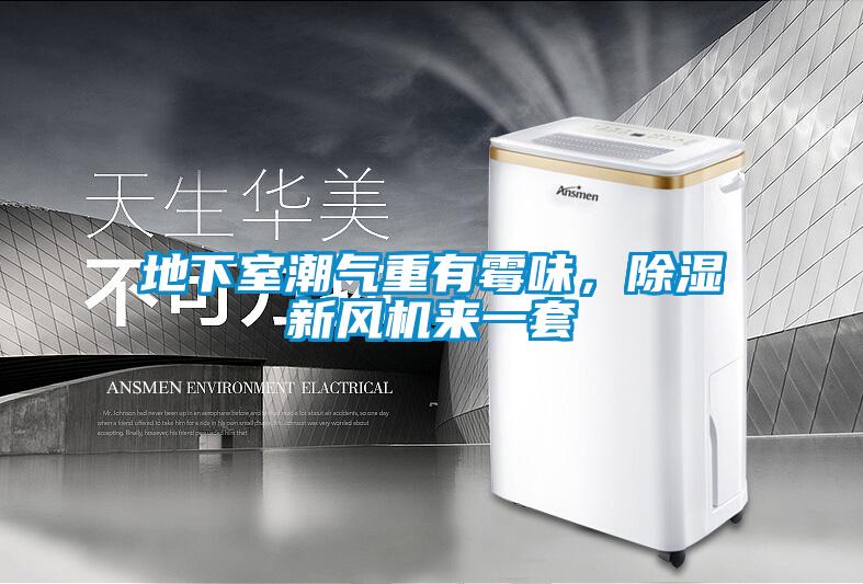 地下室潮氣重有霉味，除濕新風(fēng)機(jī)來(lái)一套