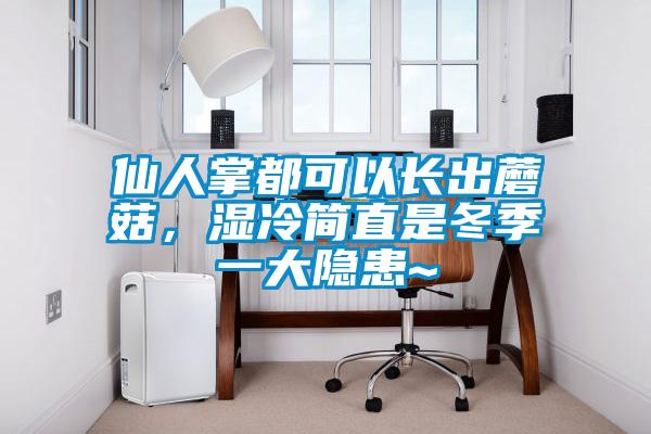 仙人掌都可以長出蘑菇，濕冷簡直是冬季一大隱患~