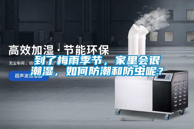 到了梅雨季節(jié)，家里會很潮濕，如何防潮和防蟲呢？