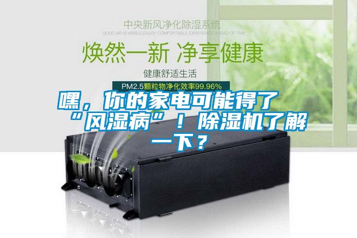 嘿，你的家電可能得了“風(fēng)濕病”！除濕機(jī)了解一下？