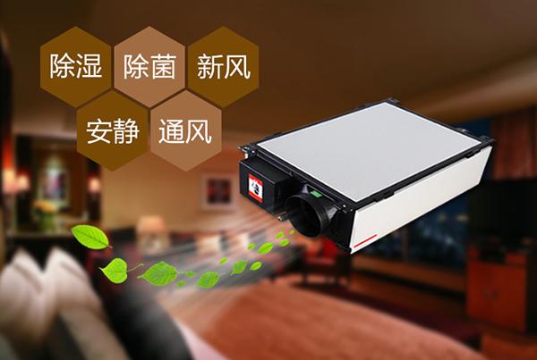 只有做好品牌，除濕機企業(yè)才能更長久