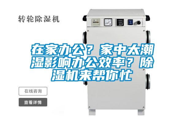 在家辦公？家中太潮濕影響辦公效率？除濕機來幫你忙