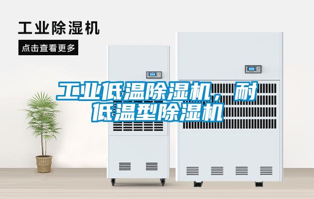 工業低溫除濕機，耐低溫型除濕機