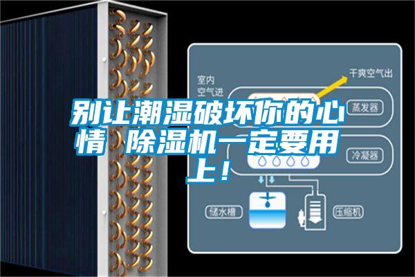 別讓潮濕破壞你的心情 除濕機(jī)一定要用上！