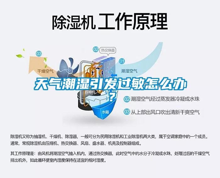 天氣潮濕引發過敏怎么辦？