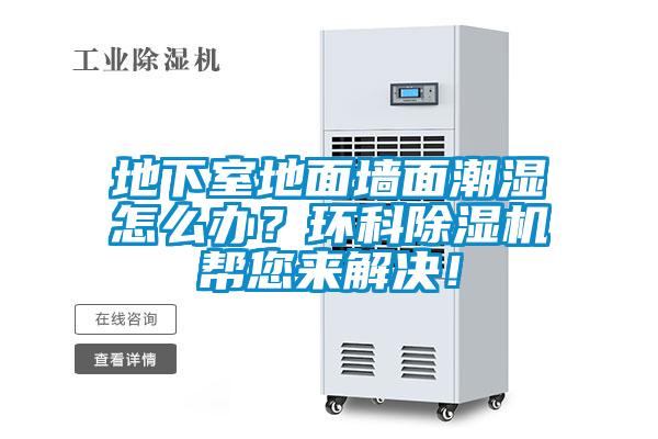地下室地面墻面潮濕怎么辦？環科除濕機幫您來解決！