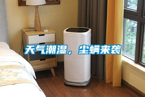 天氣潮濕，塵螨來襲