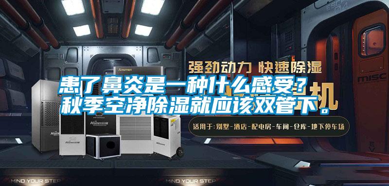 患了鼻炎是一種什么感受？ 秋季空凈除濕就應該雙管下。