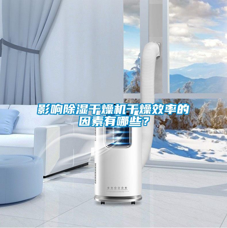 影響除濕干燥機干燥效率的因素有哪些？