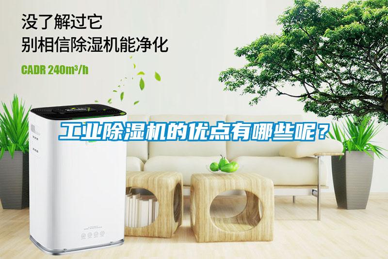 工業除濕機的優點有哪些呢？