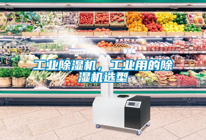 工業(yè)除濕機(jī)，工業(yè)用的除濕機(jī)選型