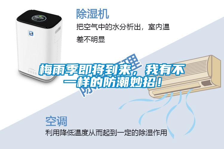 梅雨季即將到來，我有不一樣的防潮妙招！