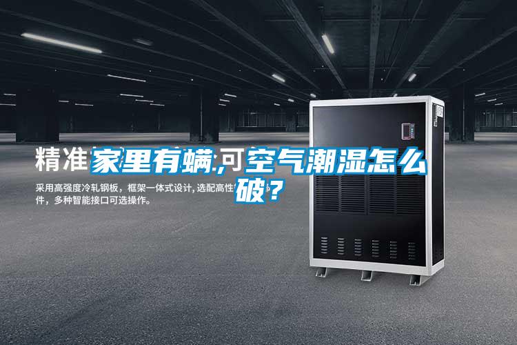 家里有螨，空氣潮濕怎么破？