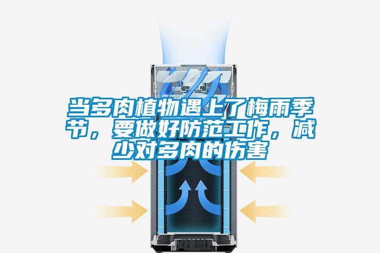 當(dāng)多肉植物遇上了梅雨季節(jié)，要做好防范工作，減少對多肉的傷害