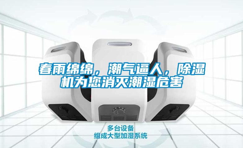 春雨綿綿，潮氣逼人，除濕機為您消滅潮濕危害