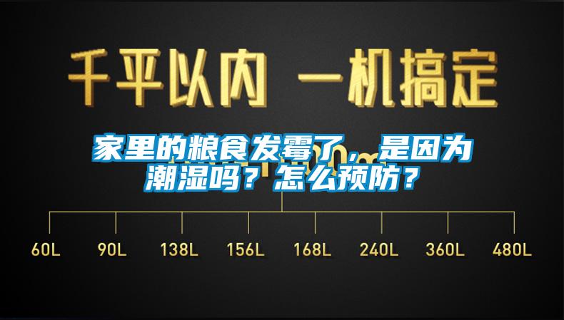 家里的糧食發(fā)霉了，是因為潮濕嗎？怎么預防？