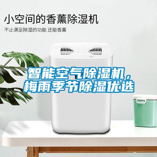 巴西菇、姬松茸烘干機-怎樣烘干色澤好且菇體褶片完整？