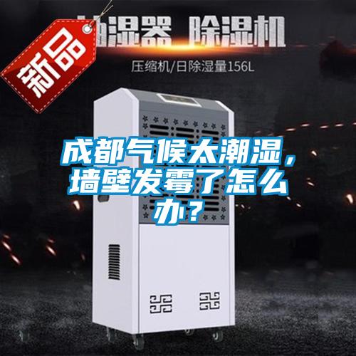 成都氣候太潮濕，墻壁發霉了怎么辦？