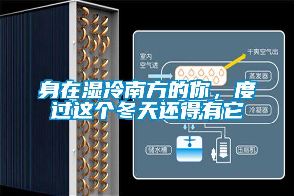 身在濕冷南方的你，度過這個冬天還得有它