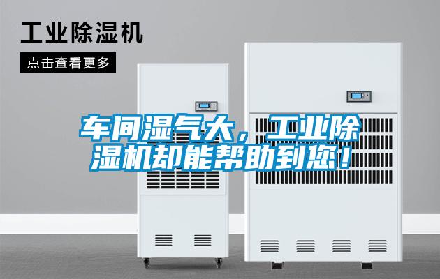 車間濕氣大，工業(yè)除濕機卻能幫助到您！