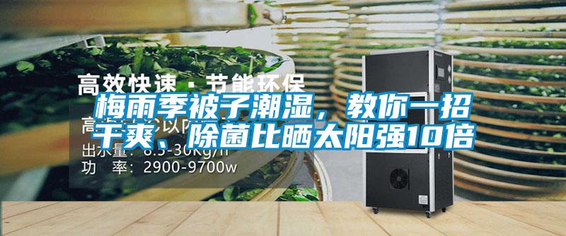梅雨季被子潮濕，教你一招干爽、除菌比曬太陽強(qiáng)10倍