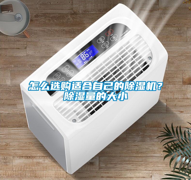 怎么選購適合自己的除濕機？除濕量的大小