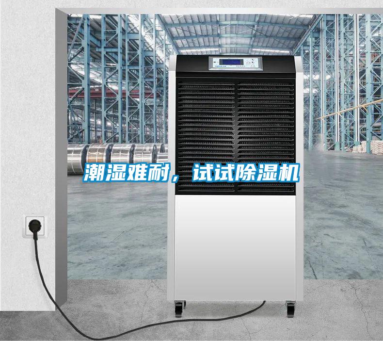 潮濕難耐，試試除濕機(jī)
