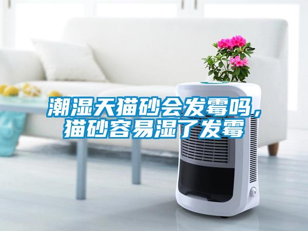 潮濕天貓砂會發(fā)霉嗎，貓砂容易濕了發(fā)霉