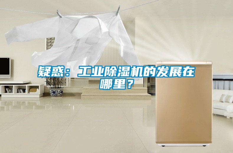 疑惑：工業除濕機的發展在哪里？