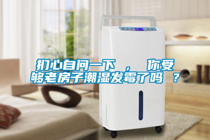 捫心自問一下 ， 你受夠老房子潮濕發霉了嗎 ？