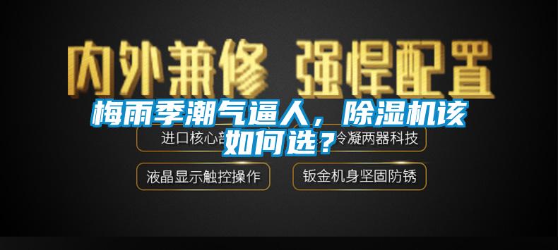 梅雨季潮氣逼人，除濕機(jī)該如何選？