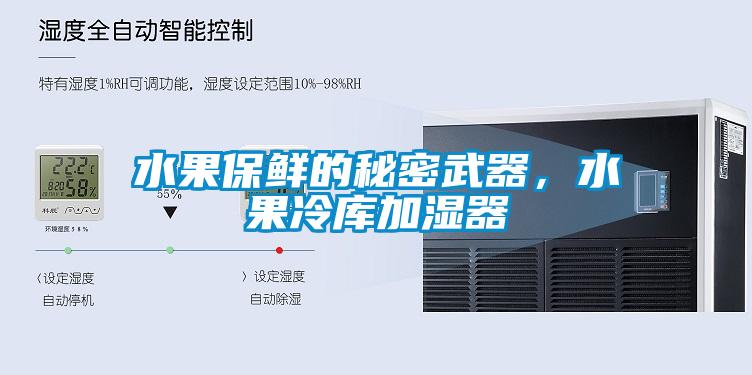 水果保鮮的秘密武器，水果冷庫加濕器