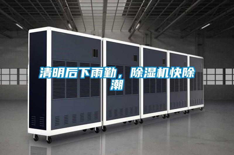 清明后下雨勤，除濕機快除潮