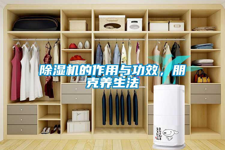 除濕機的作用與功效，朋克養生法