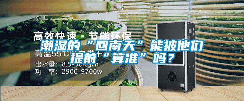 潮濕的“回南天”能被他們提前“算準”嗎？