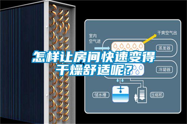怎樣讓房間快速變得干燥舒適呢？