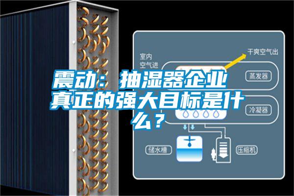 震動：抽濕器企業 真正的強大目標是什么？